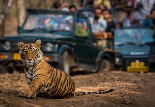 RANTHAMBORE